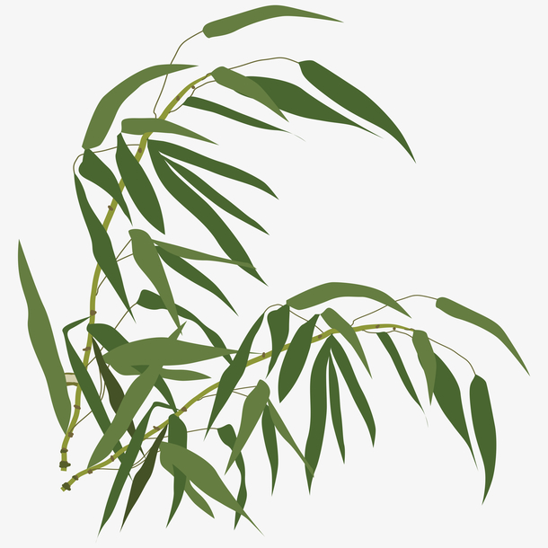 神州数码“天价离婚案”有新消息(图1)